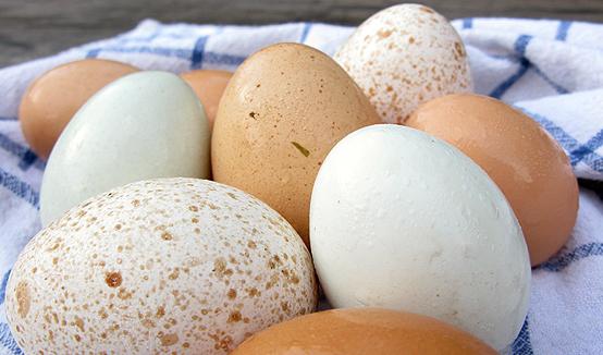 अंडे की ताजगी का निर्धारण करें