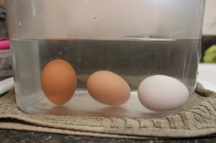 अंडे की ताजगी की जांच कैसे करें: 9 सबसे सही तरीके