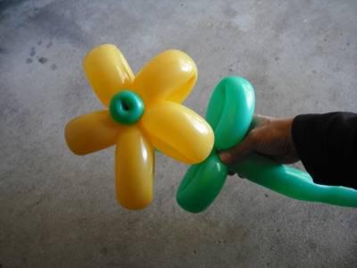 गेंदों का फूल: हम अपने हाथों से सौंदर्य बनाते हैं