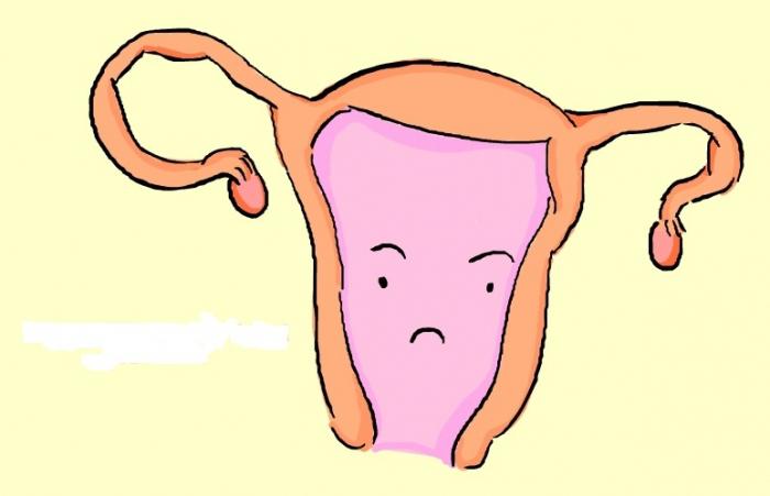 कैसे एक endometrium बनाने के लिए