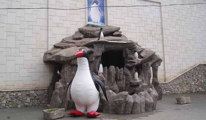 दक्षिण में पेंगुइन? हाँ, वहाँ रिसॉर्ट में एक Lazarevsky पेंगुइनरीम है!